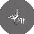 Max Kulik
