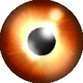lensofswastik
