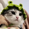 11147