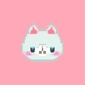 Junn