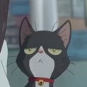 Kurokawaerne