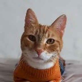 Furkan_Kisa1