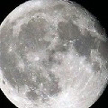 Daniel_Moon