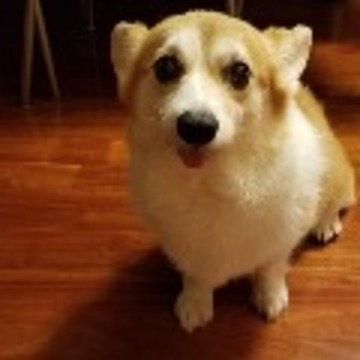 Kurt_Cheung