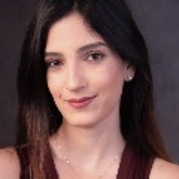 Chen_Serfaty