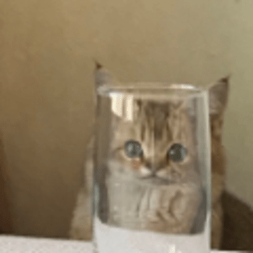 Max_K