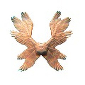 EVANGELIEL