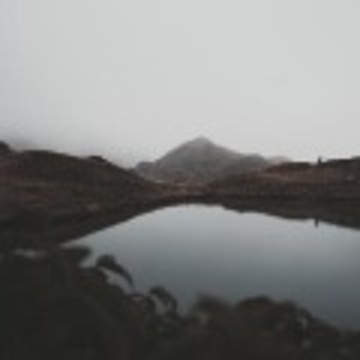zdong