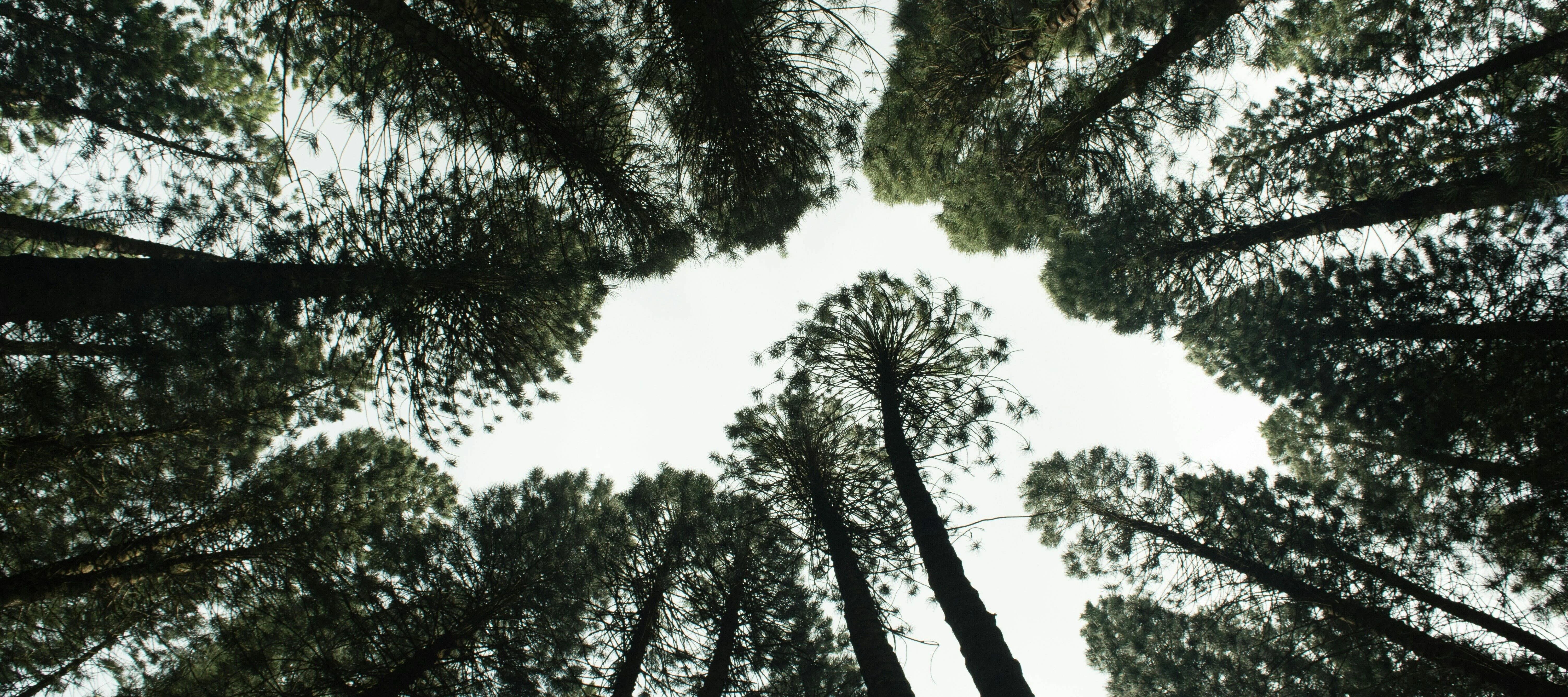 📊 Sustainable Maintenance Poll