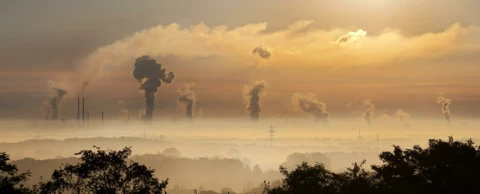 How to become carbon neutral in five steps How to become carbon neutral in five steps