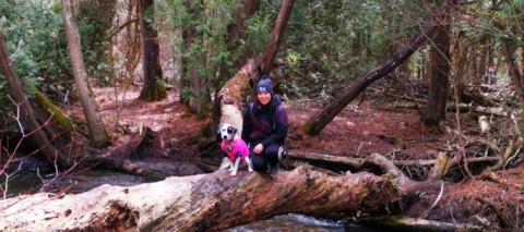 Fiixer Friday: Meet Helen Ly, Technical Support Specialist & Hiker 🥾
