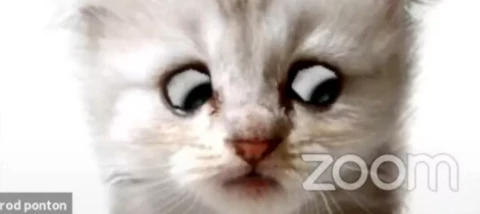 Caption this meme