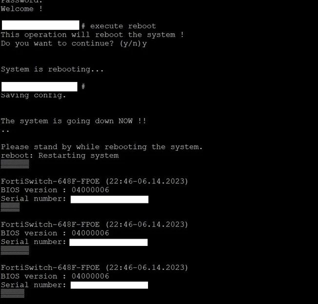 Fortiswitch-boot-problem.jpg