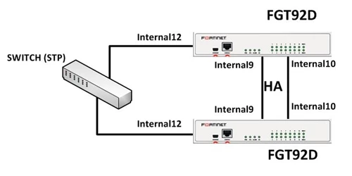 cborgato_FD37126_tn_FD37126-1.jpg