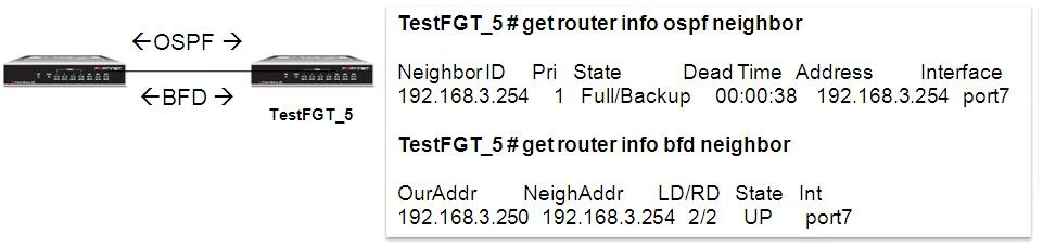 FD30260_bfd_ospf_oper_1_2.JPG