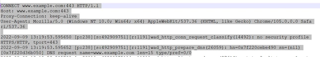 KC_Hing_1-1662966082876.png