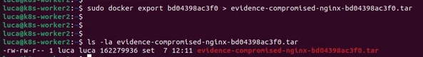Exporting the filesystem of a malicious container
