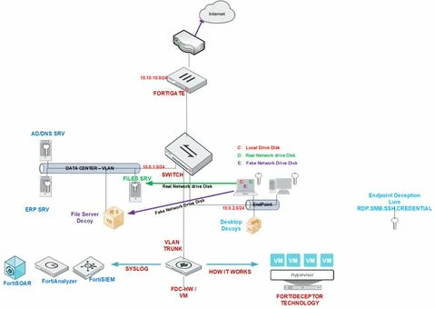 Deception Ransomware.jpg