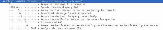 rmetzger_FD32796_DNS_response.jpg