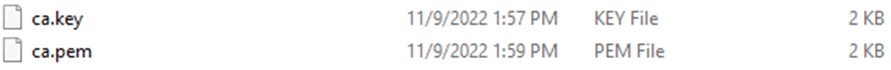 Gab_FTNT_1-1668783210573.png