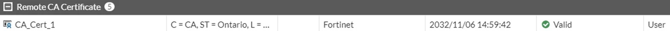 Gab_FTNT_9-1668783375069.png