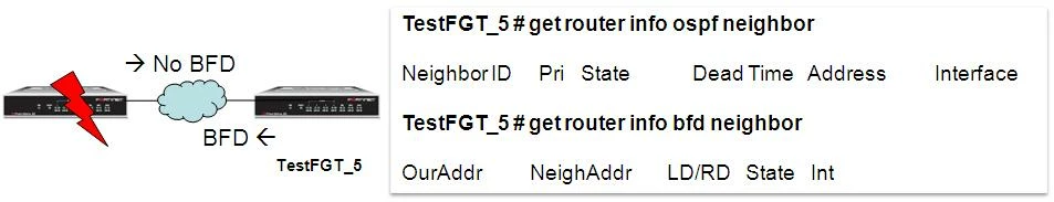 rmetzger_FD30260_bfd_ospf_oper_2.JPG