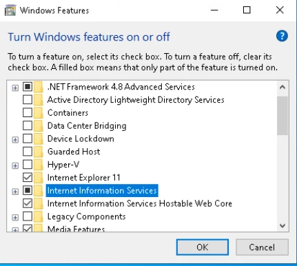 2.Enable IIS(Internet Information service)