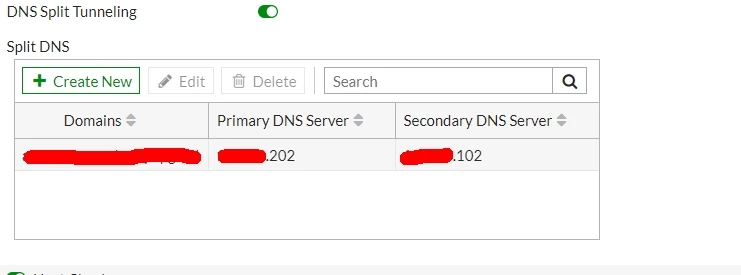 dns.jpg