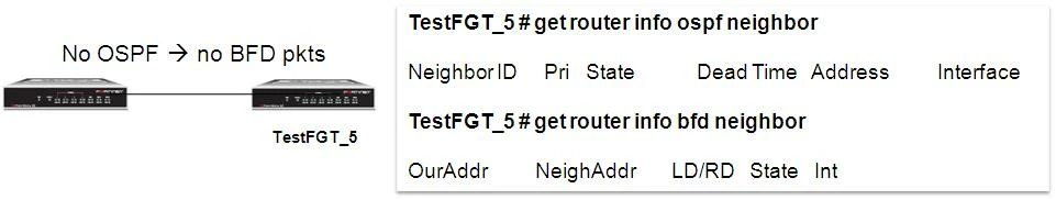 rmetzger_FD30260_bfd_ospf_oper_1_1.JPG