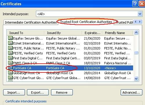 rmetzger_FD32404_verify_root_CA.jpg