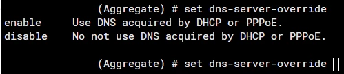 DNS Override.png