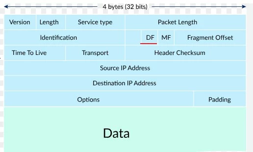 df-bit.jpg df-bit.jpg
