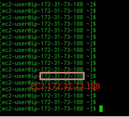 KB-FD47088-19.jpg