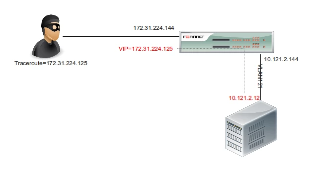 brech_FD33838_vip_traceroute.png