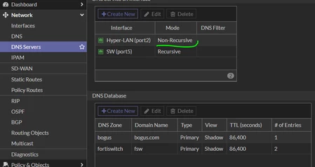 DNS server.PNG