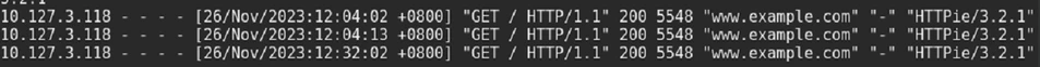 web-server-log-good.png