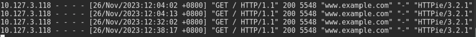 web-server-log-bad.png