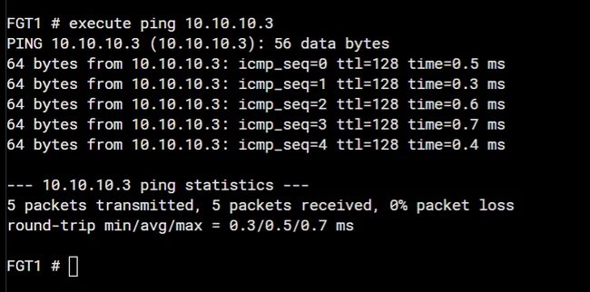 fgt can ping.PNG