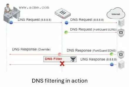 LiveQuerying-DNS.JPG LiveQuerying-DNS.JPG