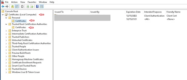 ppatel_9-1641200778055.png