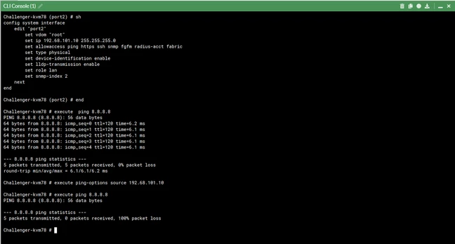 Ping from an interface