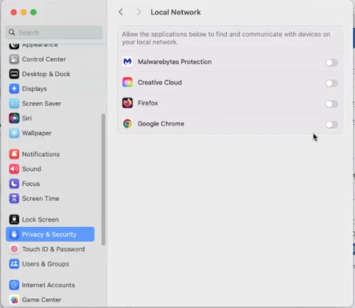 local net2.PNG
