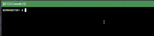 Recording-2024-09-25-122144.gif