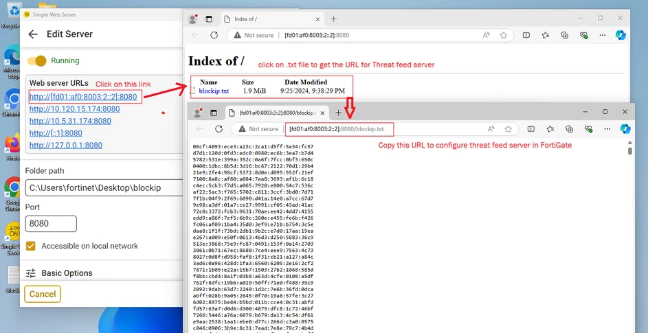ipv6 server url access.png