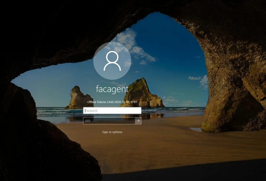 Windows agent login.JPG
