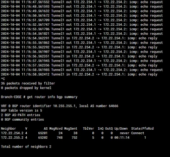 bgp summart2.PNG bgp summart2.PNG