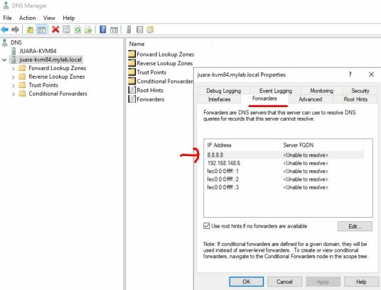 DNS forwarder.JPG