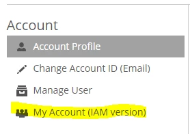 IAM_2.PNG