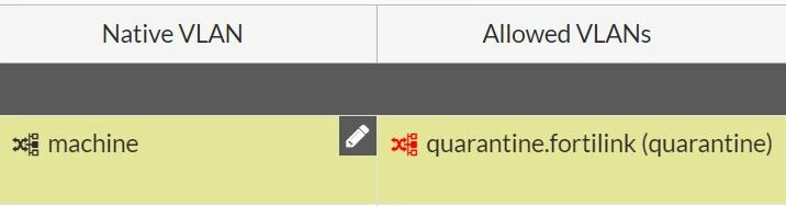 Native and Allowed VLan.JPG