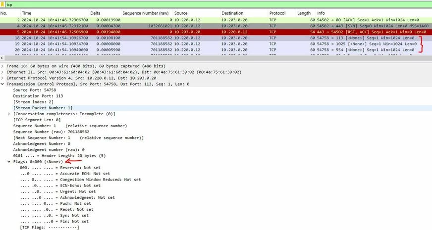 pcap nmap no flag.JPG